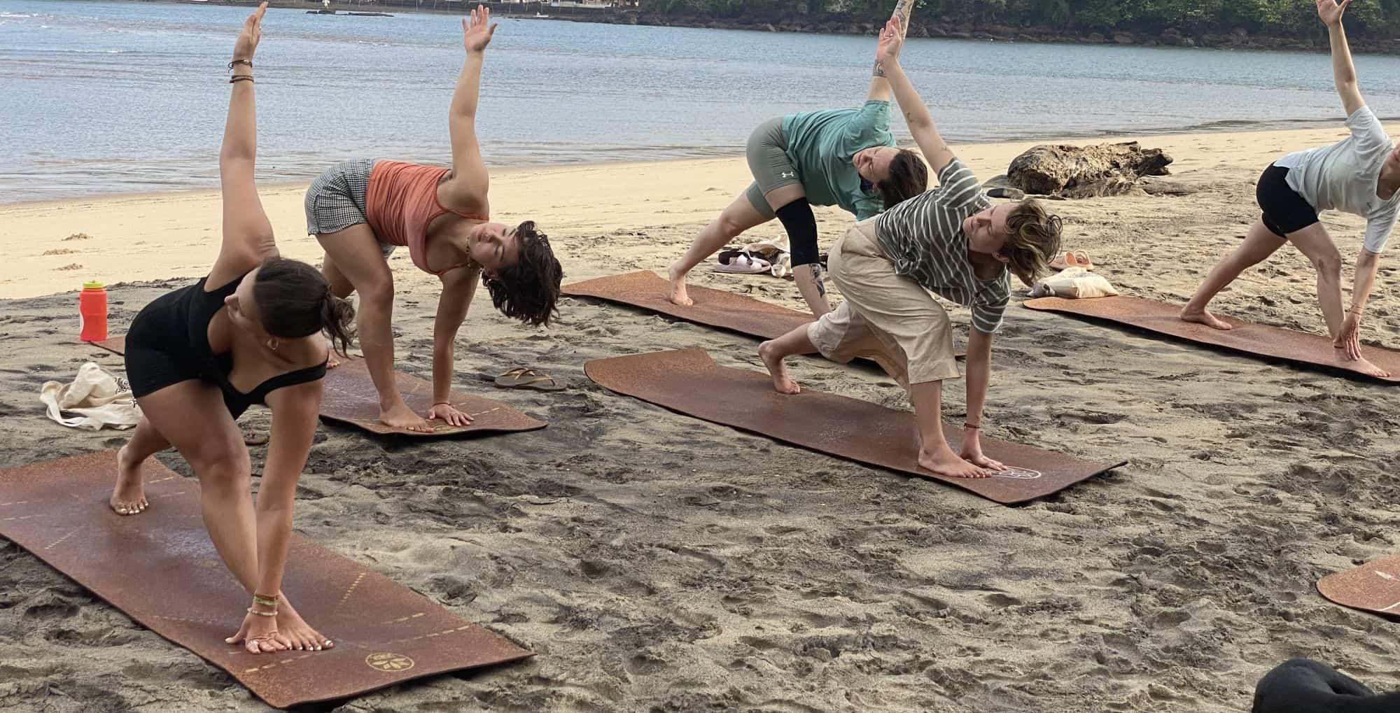 50 hrs Yoga Teacher Training Goa