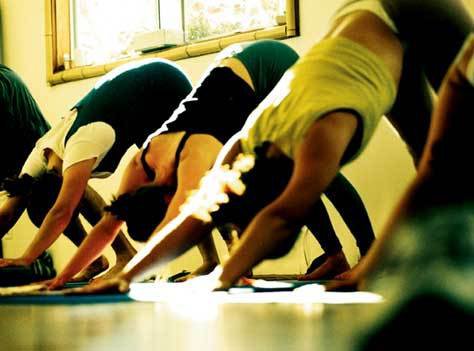 Yoga Dynamics