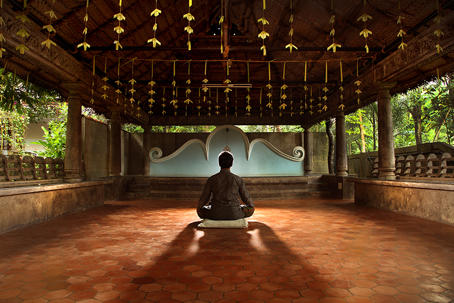 Amruthamgamaya Yoga and Ayurvedic Village Retreat Image