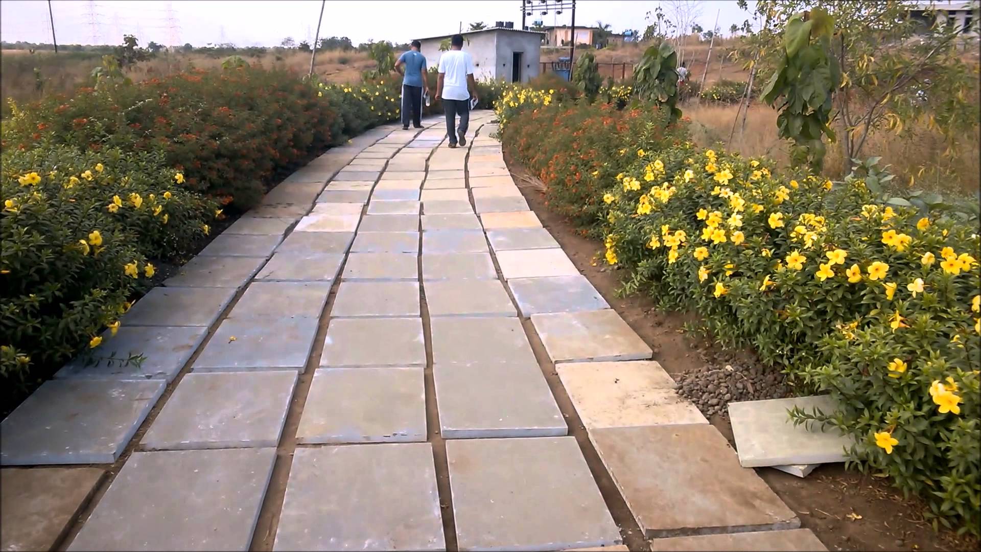 Dhamma Vahini Vipassana Meditation Centre