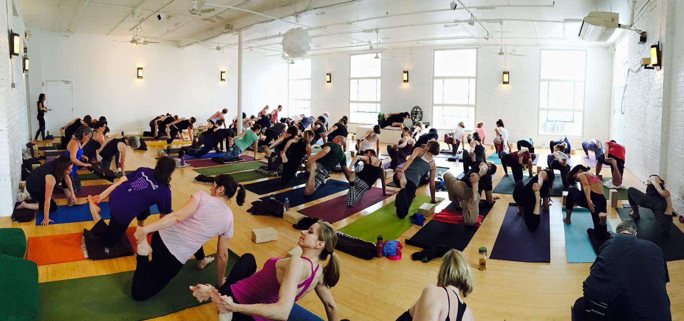 Dig Yoga Studio Image