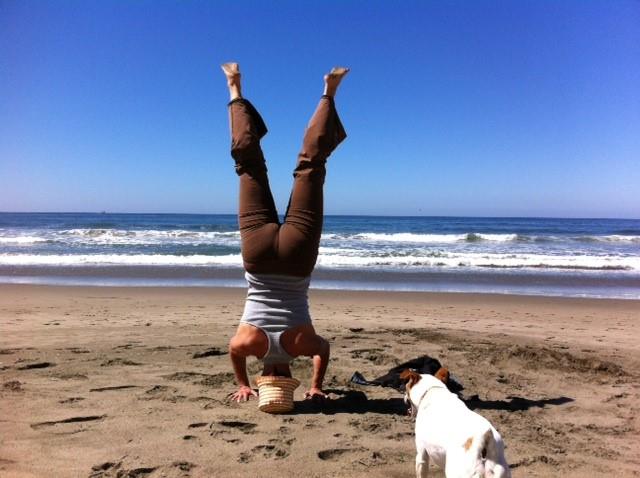 Ocean Yoga Studio Image