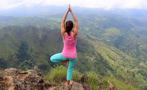 Vipassana Meditation Centre