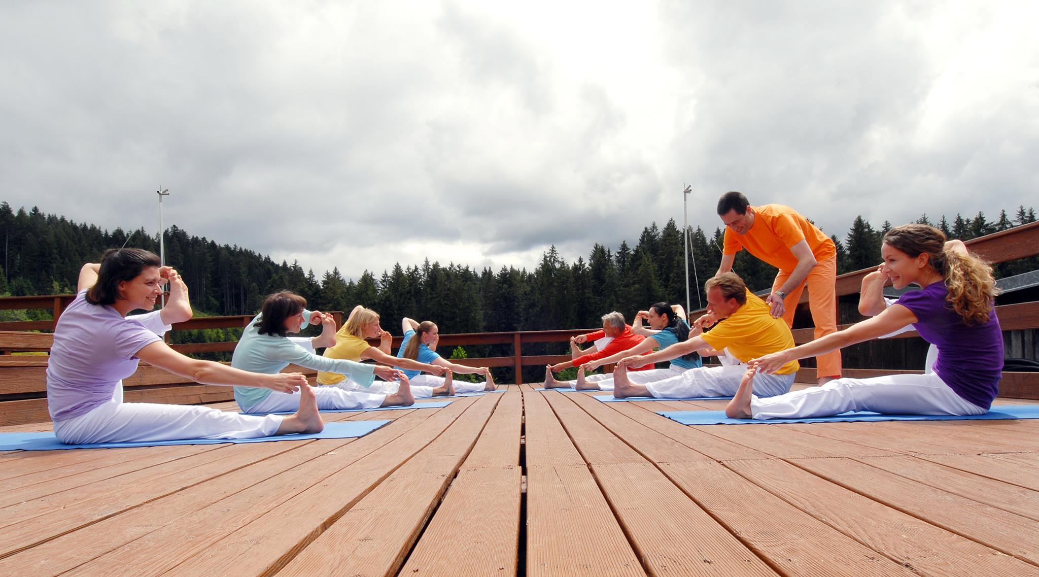 Yoga Sivananda Image