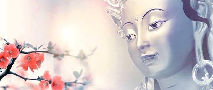 Kadampa Meditation Center Image