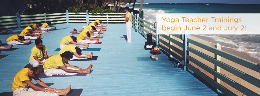 Sivananda Ashram Yoga Retreat