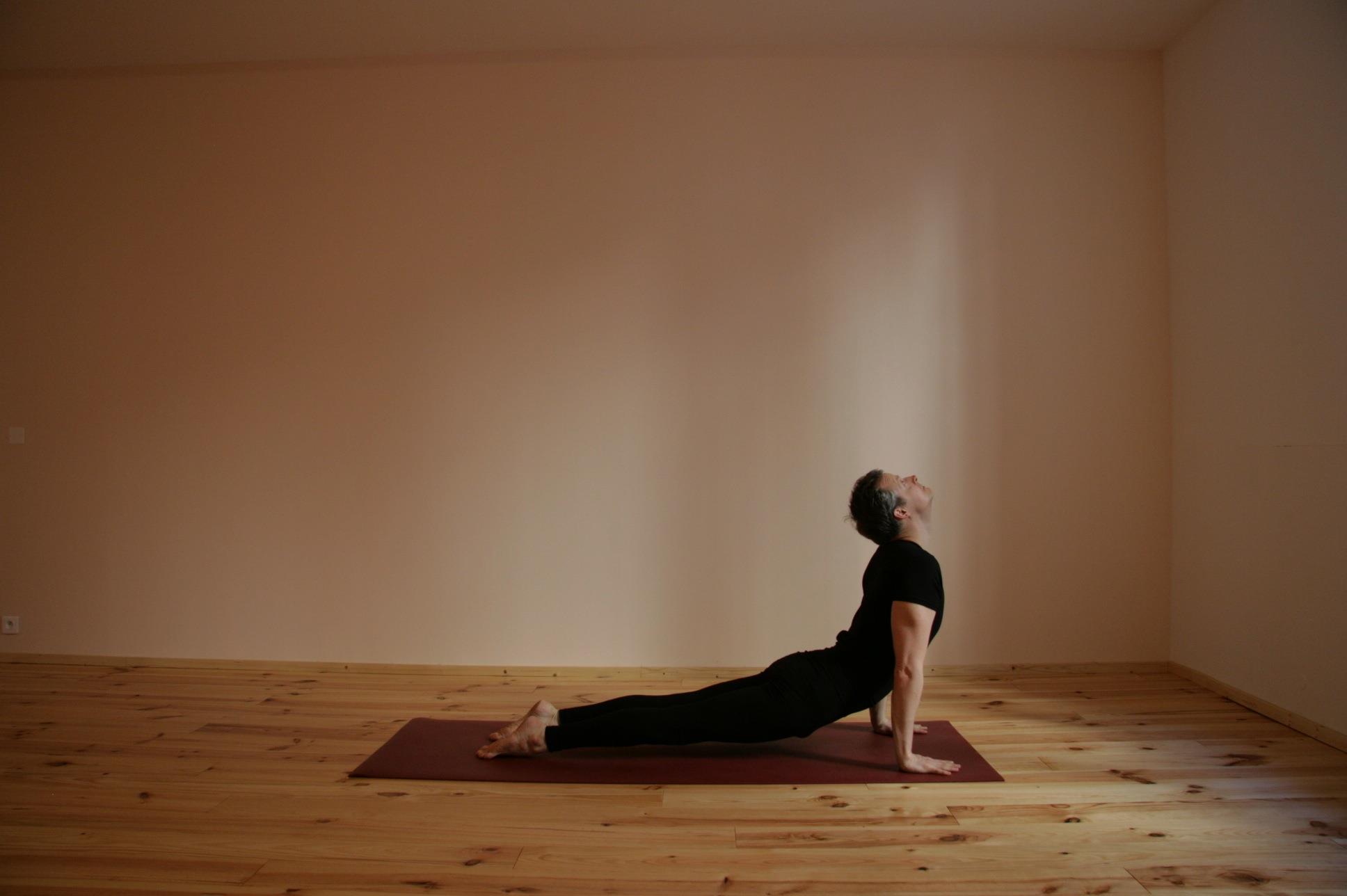 Yoga Evolution Center