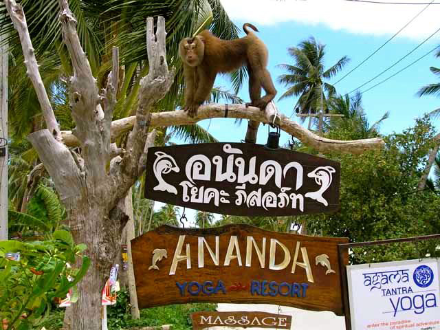 Ananda Wellness Resort Detox And Yoga Center Image