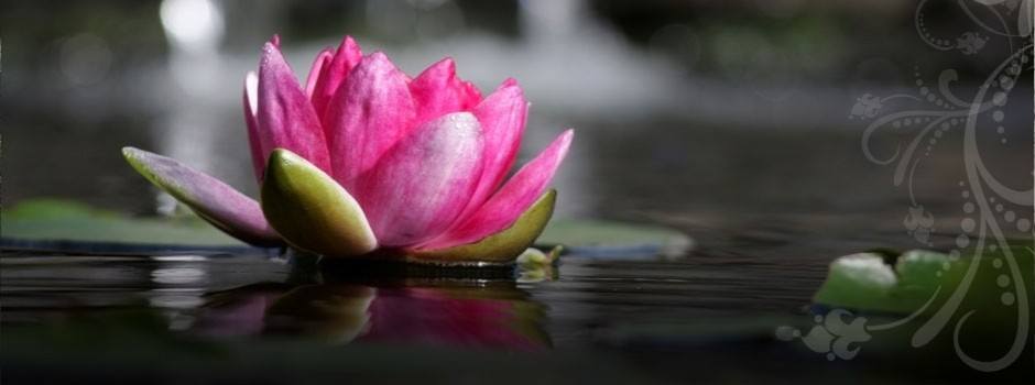 Lakshmi Ayurveda Wellness Centre