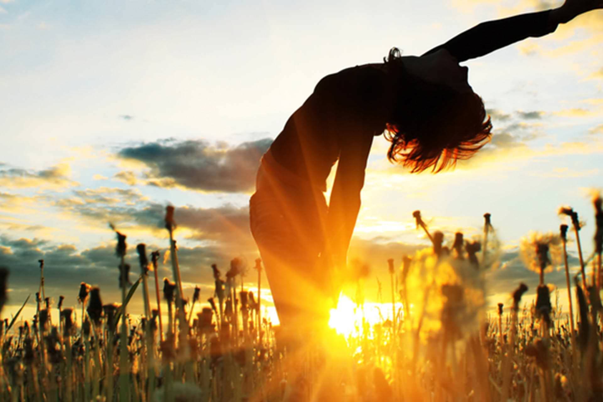Pranaa Ayurveda Spa And Yoga Center Image