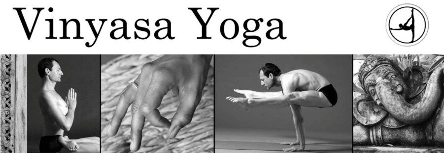 Vinyasa Yoga Studio Image