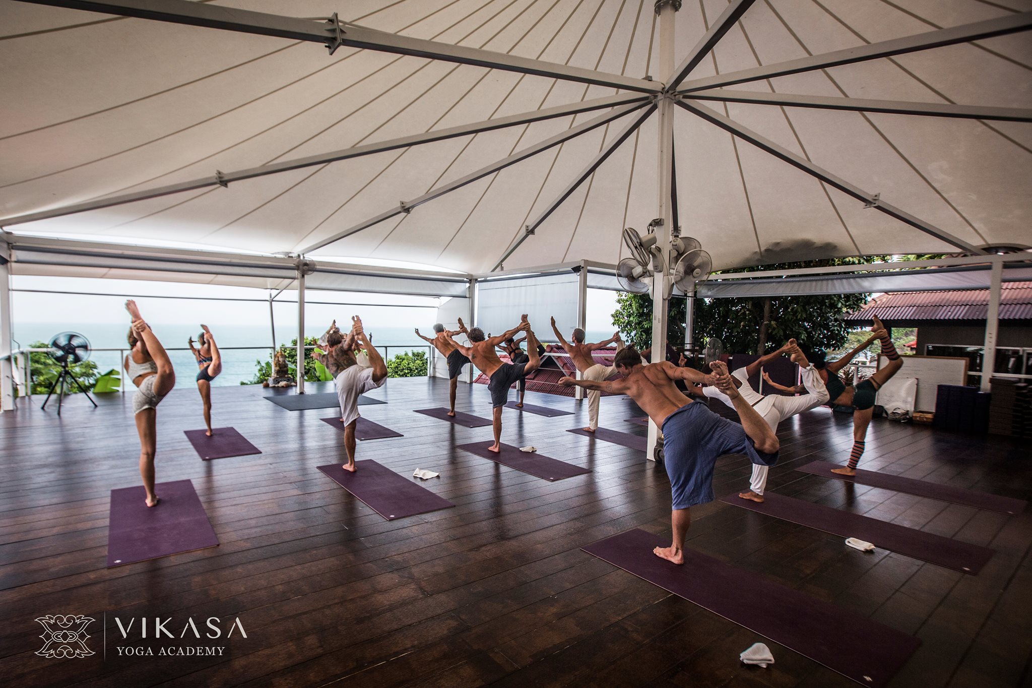 Vikasa Yoga Image