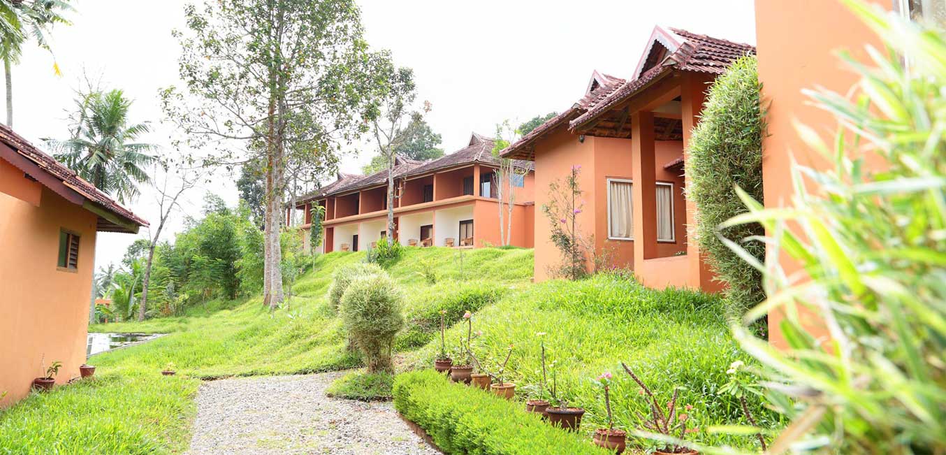 Ayurmana Advanced Ayurveda Center For Healing Image