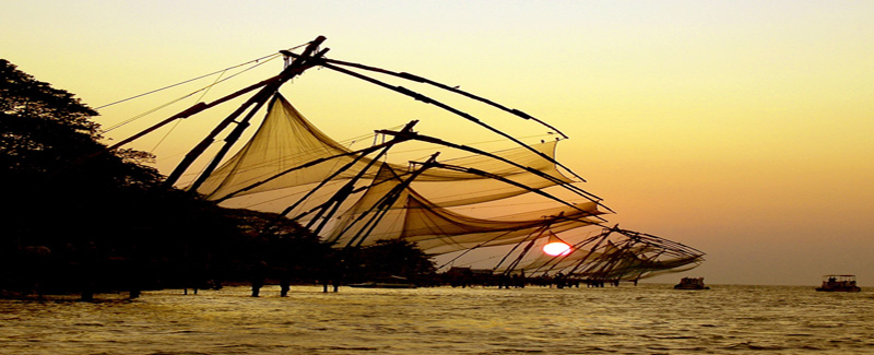 Q Ayurveda Resorts And Hotels