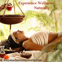 Wayanad Nature Resort Image