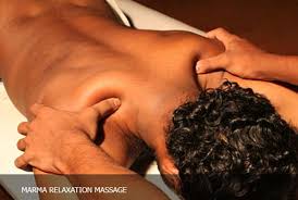 Epv Ayurveda Kalari Ayurveda Center Image