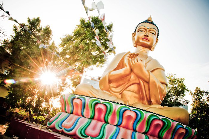 Root Institute For Wisdom Culture Image