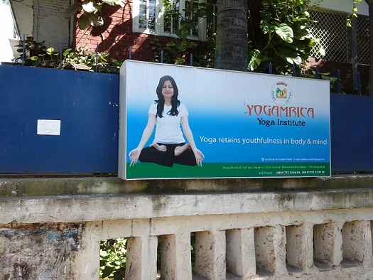 Yogamrita Yoga Institute