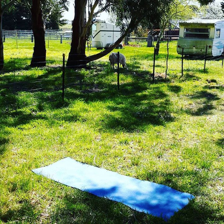 Shiva Yoga West