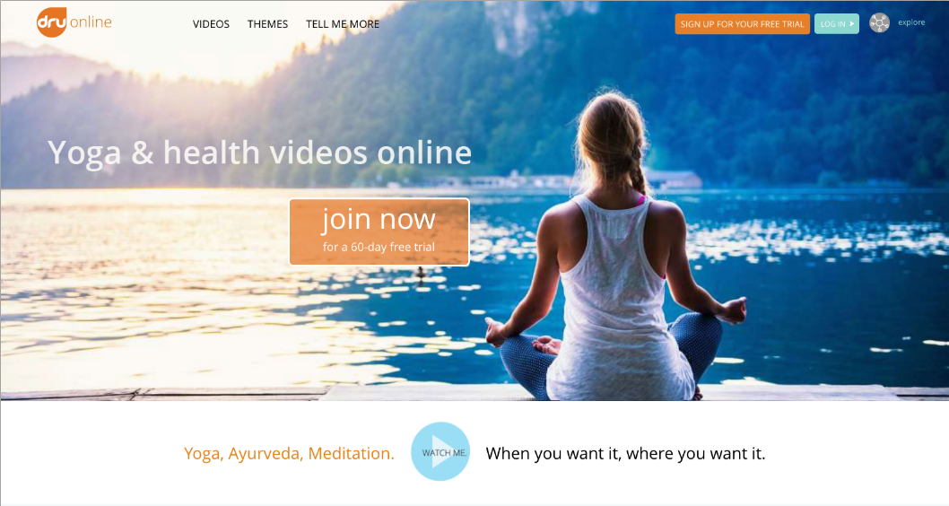 Dru Yoga And Meditation Center Image