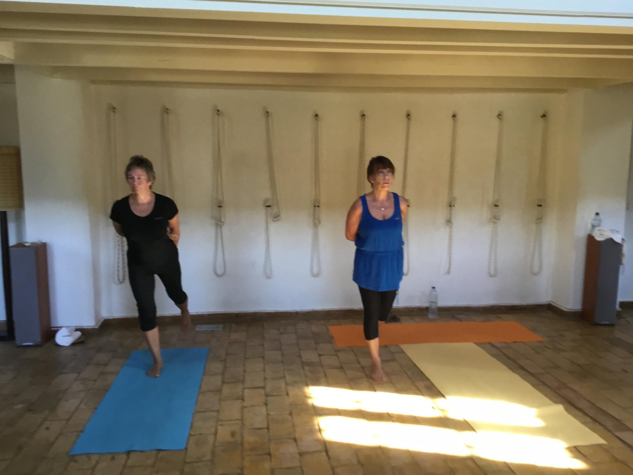 MA Yoga / Wellness Foundation Image