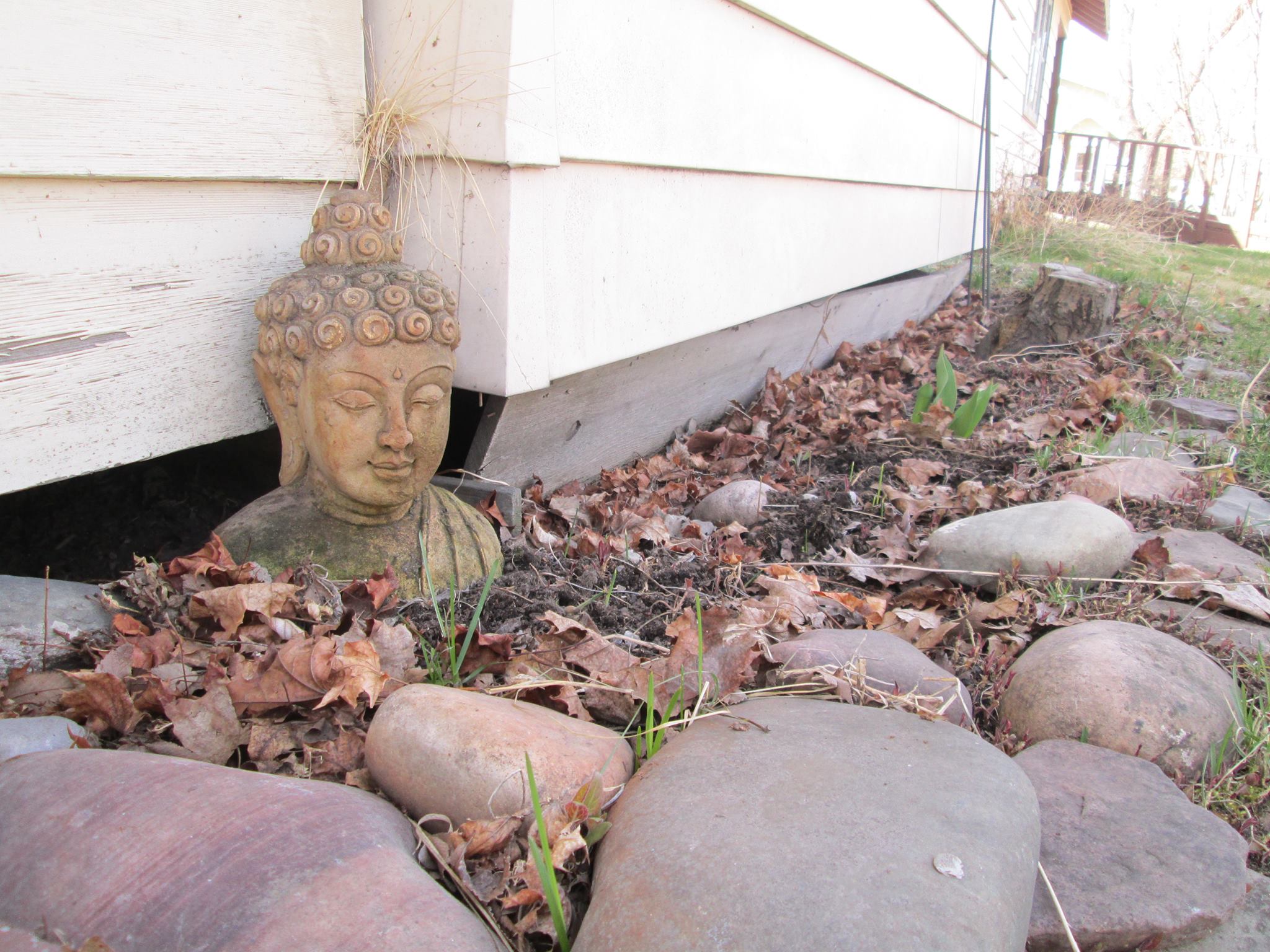Open Way Sangha Meditation Center Image
