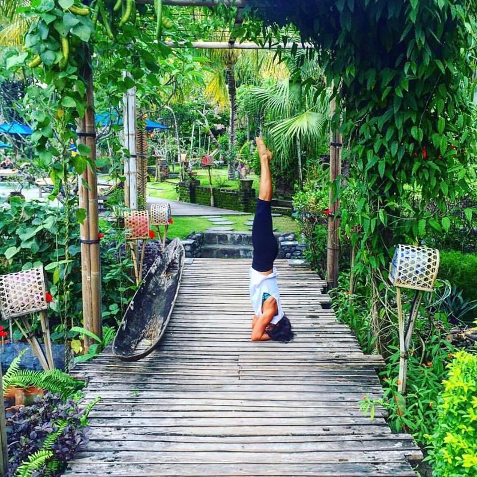 Pure Pilates Studios Clayfield Image