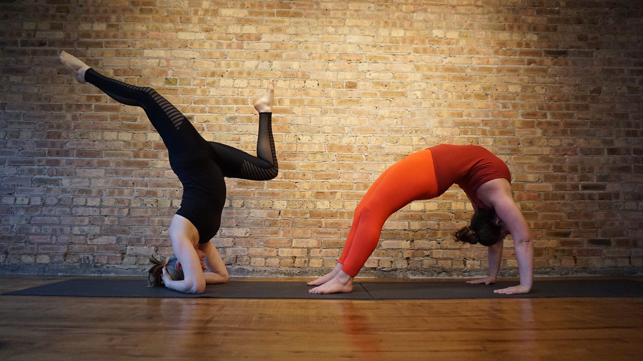 Yoga Roots and Healing Arts Studio Image