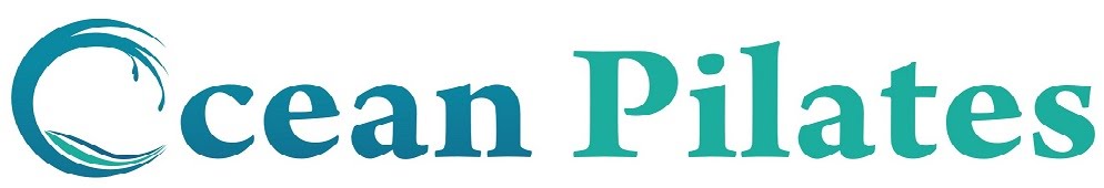 Pilates Plus Image
