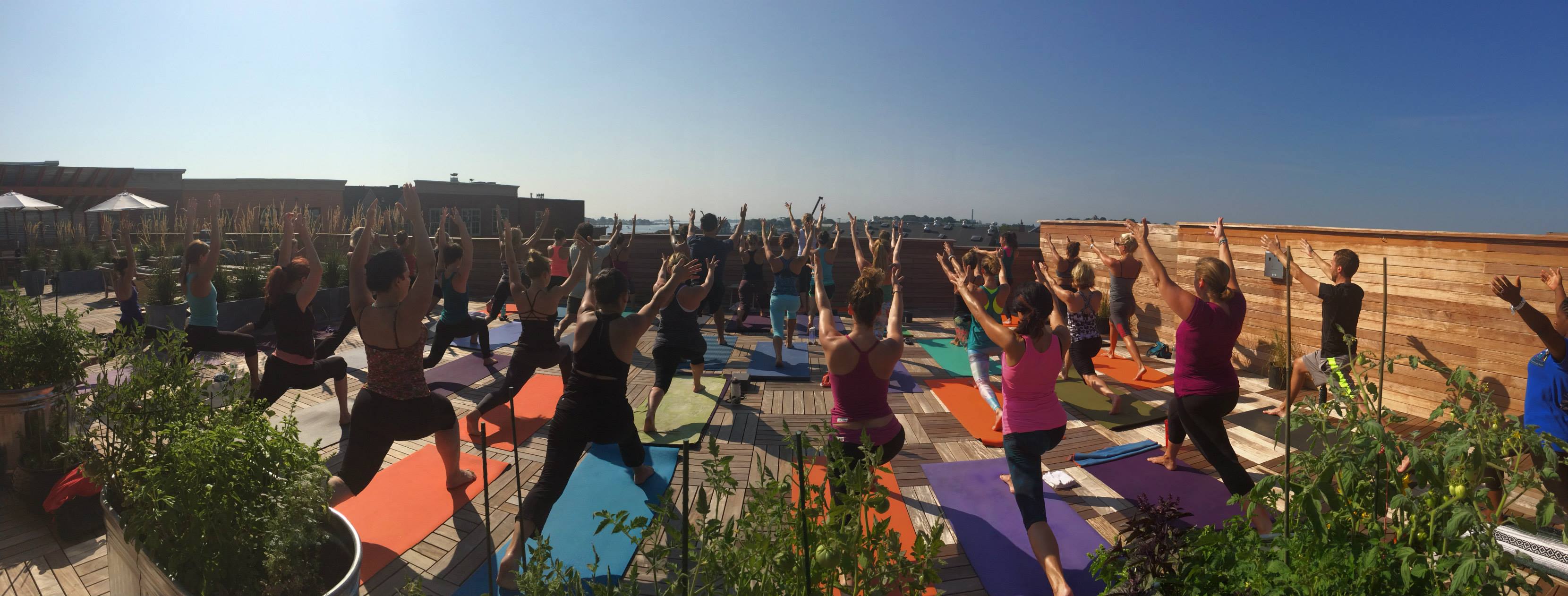 Saraswati's Yoga Joint Image