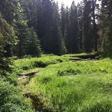 Department of Agriculture Forest Service Meditation Point (Timothy Lake) Image