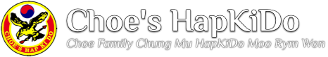 Choe's HapKiDo Meditation And Tai ChiVirginia Image