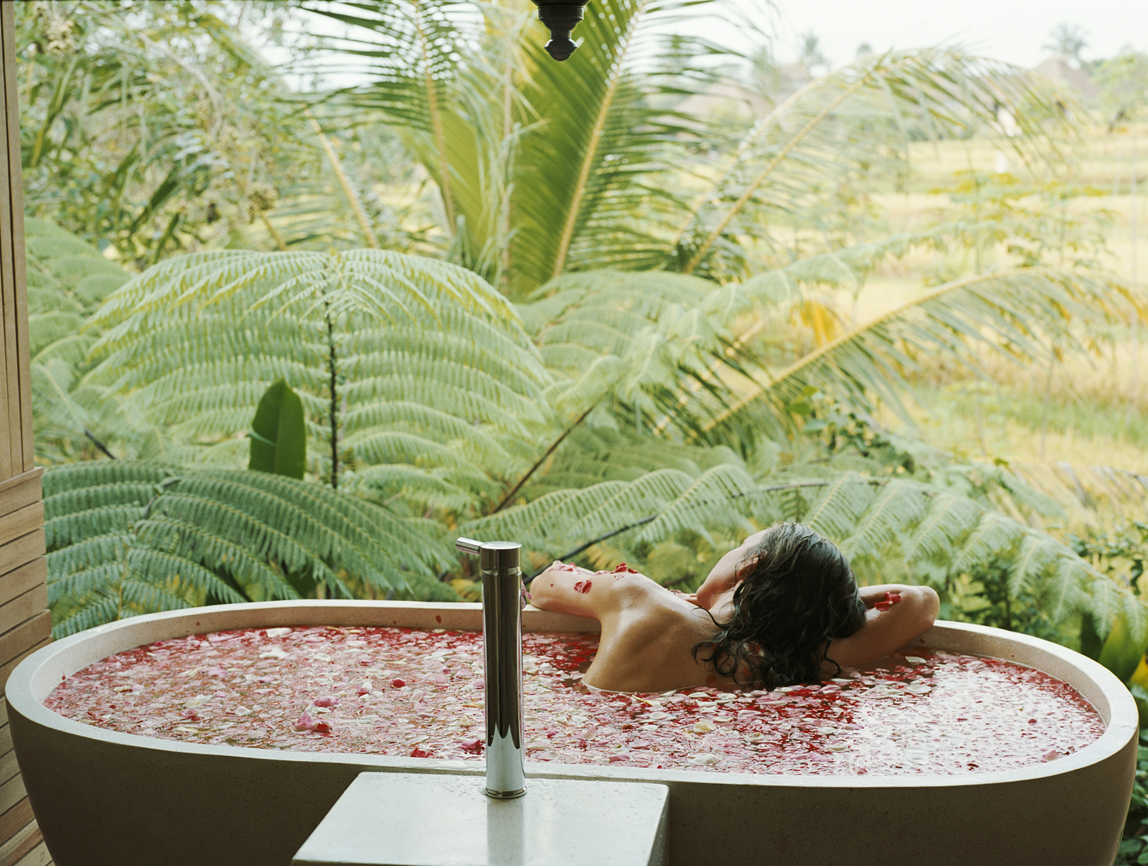 One World Ayurveda Reatreat Center Image
