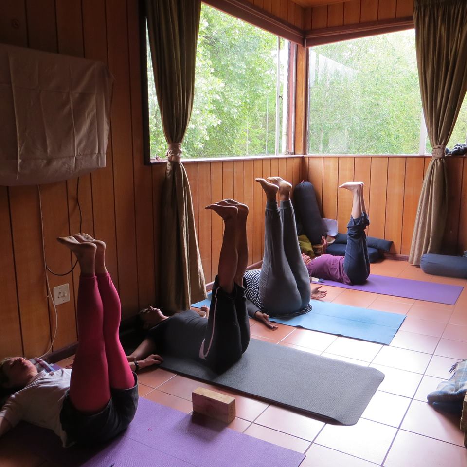 Back To Wellness Centre Yoga Studio