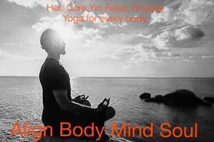 Align Body Mind Soul Yoga Studio