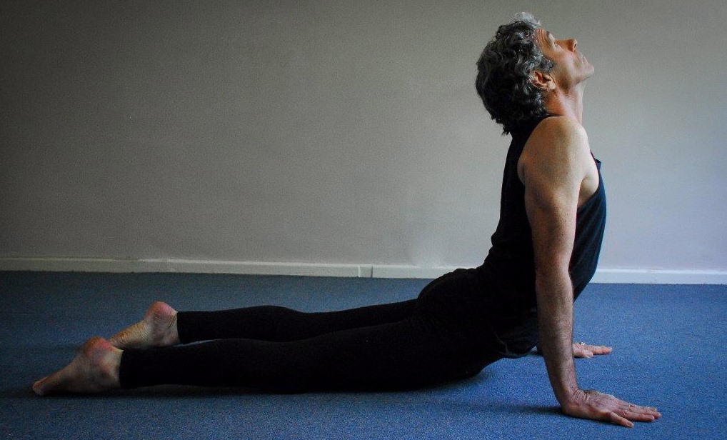 Hatha Yoga Shala Image