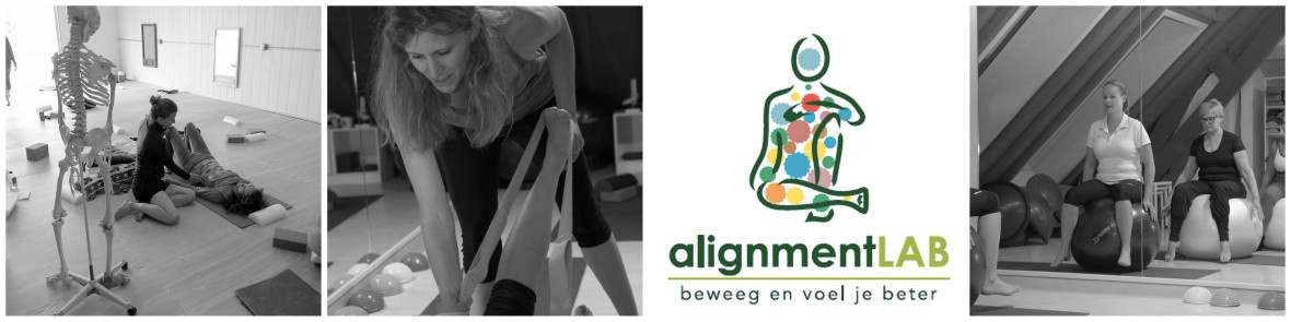 AlignmentLAB: Restorative Exercise &amp; Pilates Image