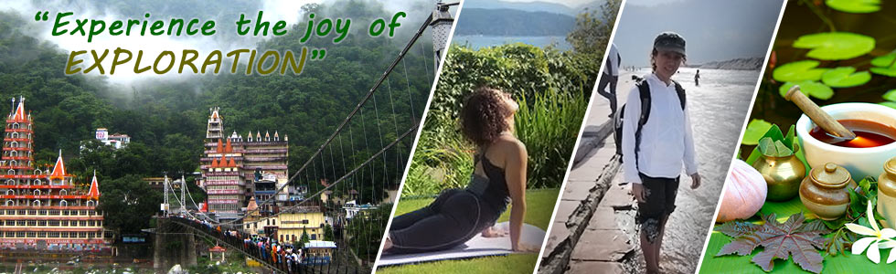 Ayur Yoga Institute India