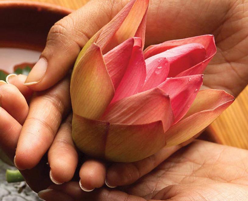 Ayura Ayurvedic Centre Idukki