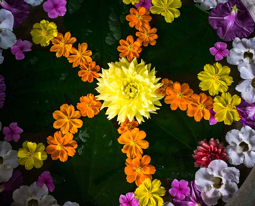 Ayura Ayurvedic Centre Idukki