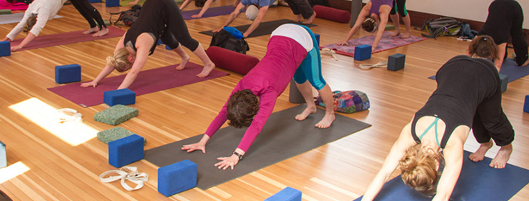 vyasa-yoga-peeth-7