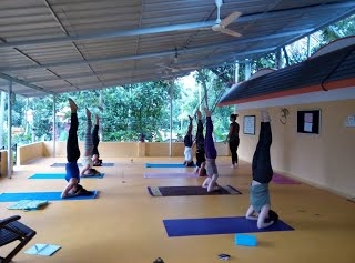 Abhijna School Of Yoga Varkala 
