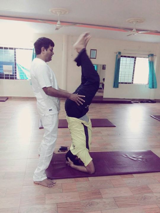 Bodhi Yoga Institute 