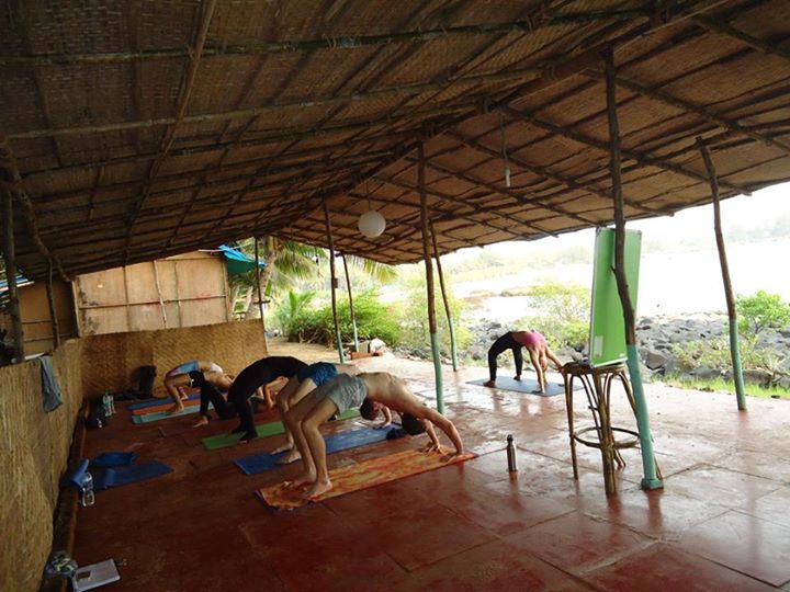Green Yoga 