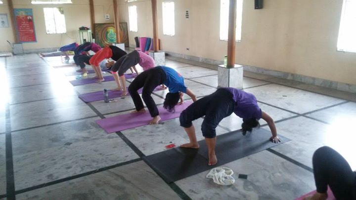 Green Yoga 