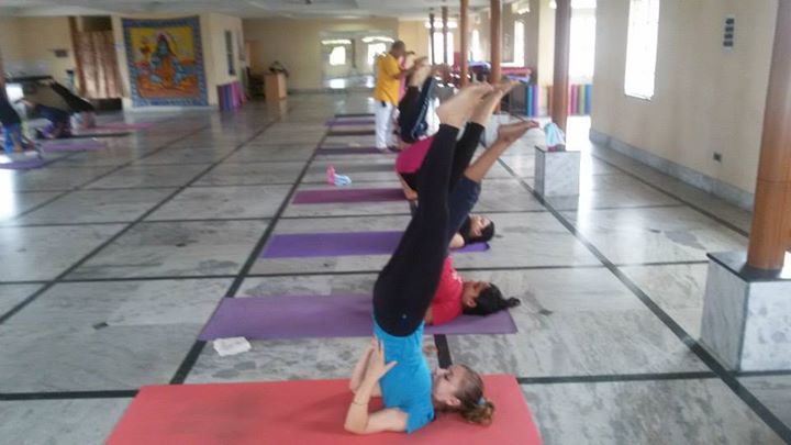 Green Yoga 