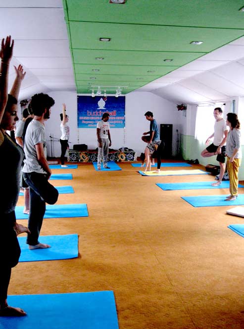 Hatha Yoga World Dharamsala 
