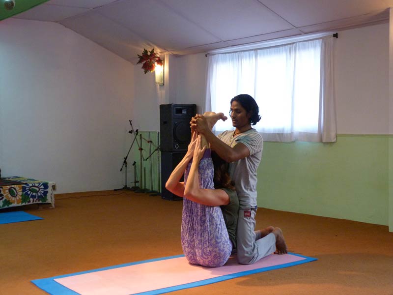 Hatha Yoga World Dharamsala