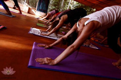 Padmakarma India