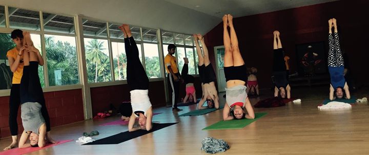 Samyak Yoga Shala India